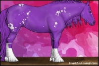 Horse Color:Watercolor White Spotted Liver Chestnut 