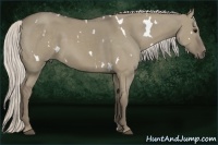 Horse Color:White Spotted Silver Smoky Grullo