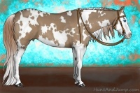Horse Color:White Spotted Red Dun Roan Splash