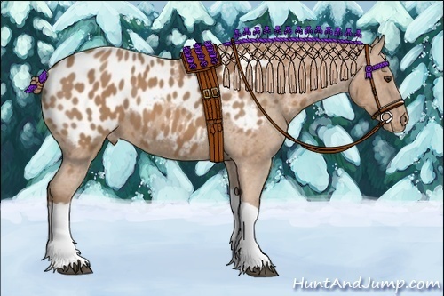 Horse Color:Chestnut Near Leopard