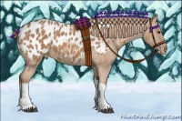 Horse Color:Chestnut Near Leopard
