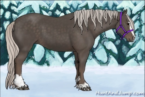 Horse Color:Silver Black Sabino 