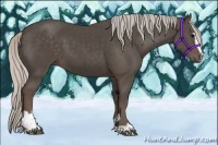 Horse Color:Silver Black Sabino