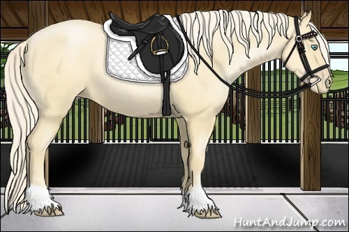 Horse Color:Gold Cream Champagne Pearl 