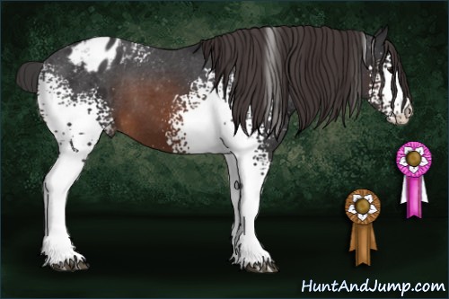 Horse Color:White Spotted Brown Varnish