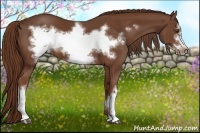 Horse Color:Chestnut Frame