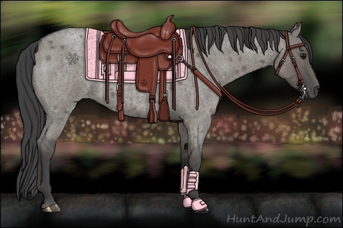 Horse Color:Smoky Grullo Roan 