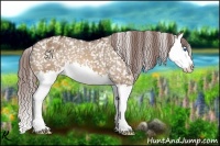 Horse Color:Bay Dun Splash Snowflake Varnish 