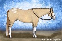 Horse Color:Buckskin Dun Splash Appaloosa