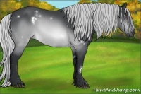 Horse Color:White Spotted Silver Brown Chinchilla 