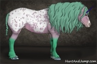 Horse Color:Watercolor Buckskin Frame Appaloosa 