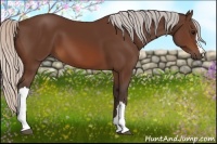 Horse Color:Silver Brown 