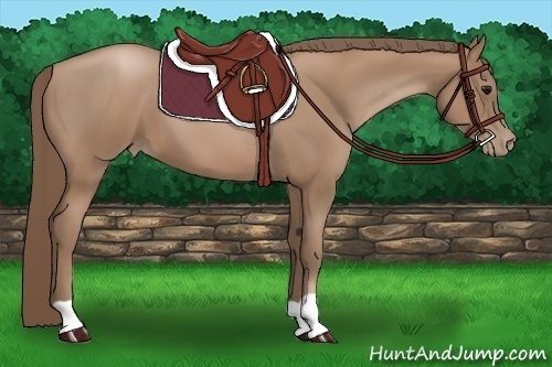 Horse Color:Black Pearl 