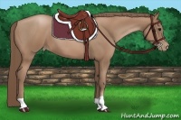 Horse Color:Black Pearl