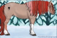Horse Color:Painted Watercolor Red Dun Tobiano