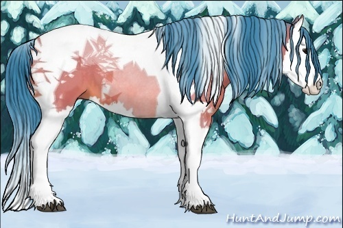 Horse Color:Watercolor Bay Splash Tobiano