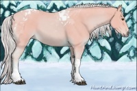Horse Color:Watercolor Palomino Tobiano 