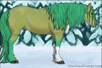 Horse Color:Watercolor Bay 