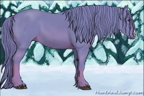 Horse Color:Watercolor Chestnut 