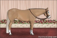 Horse Color:Palomino Splash 