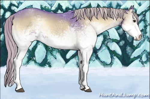 Horse Color:Watercolor White Spotted Red Onyx