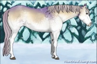 Horse Color:Watercolor White Spotted Red Onyx