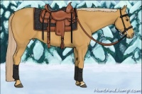 Horse Color:Palomino 