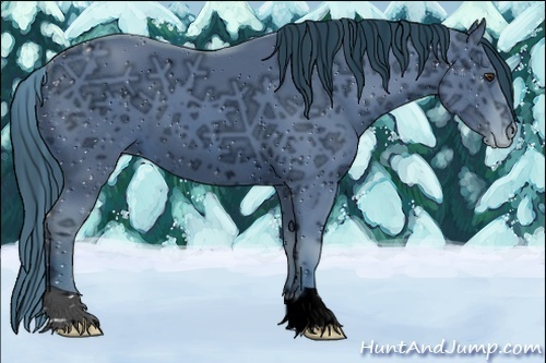 Horse Color:ERROR: UNKNOWN ANOMALY