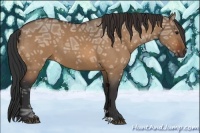 Horse Color:Bay Ice Dun 