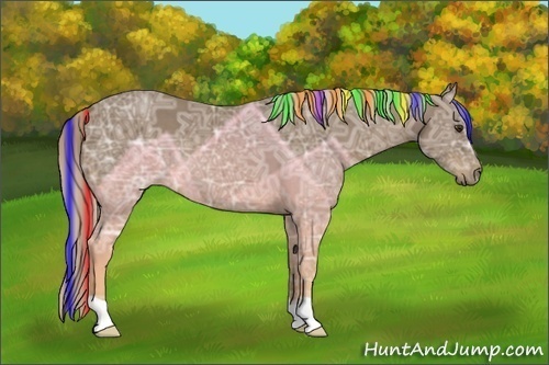 Horse Color:Painted Chocolate Palomino Ice 