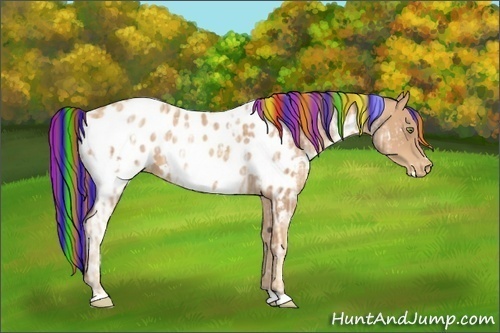 Horse Color:Painted White Spotted Gold Champagne Ice Appaloosa
