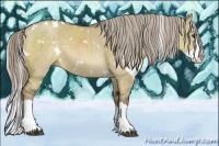 Horse Color:White Spotted Chocolate Palomino Dun Splash