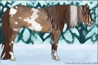 Horse Color:White Spotted Liver Chestnut Frame 