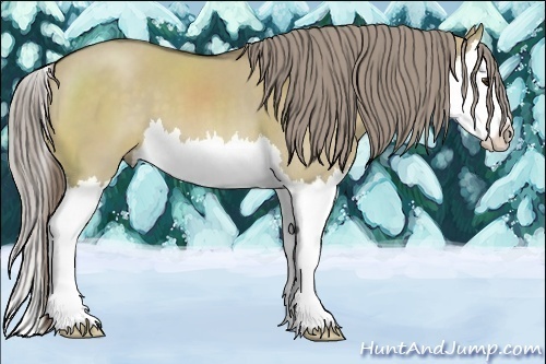 Horse Color:Chocolate Palomino Dun Splash