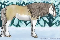 Horse Color:Chocolate Palomino Dun Splash