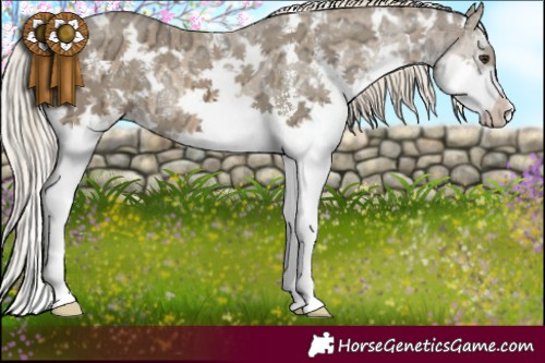 Horse Color:White Spotted Chocolate Palomino Ice Sabino Splash
