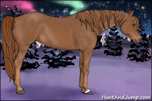Horse Color:Chestnut Rabicano