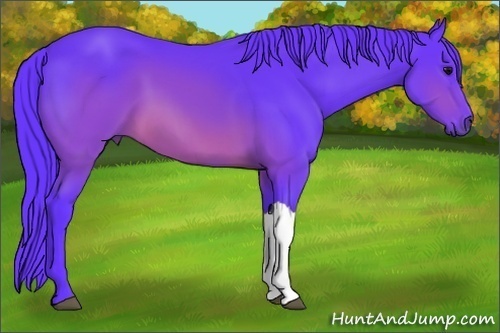 Horse Color:Watercolor Brown 