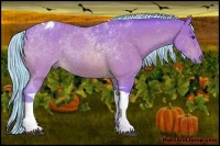 Horse Color:Painted Watercolor Silver Bay Tobiano 