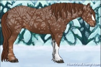 Horse Color:Chestnut Ice 