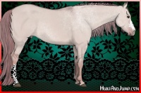 Horse Color:Watercolor Red Dun 