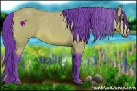 Horse Color:Watercolor Buckskin 