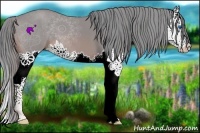 Horse Color:Watercolor Chestnut Splash 