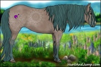 Horse Color:Watercolor Grullo 