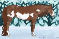 Horse Color:Chestnut Frame