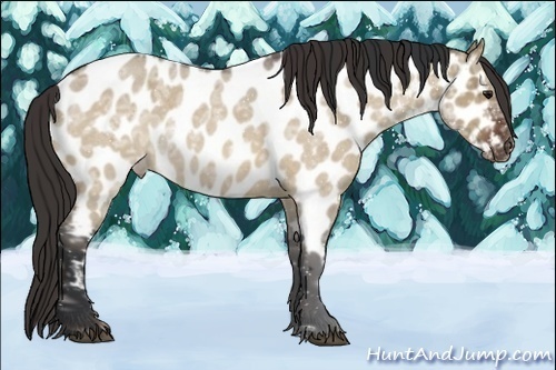 Horse Color:Bay Ice Roan Dun Near Leopard