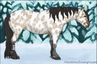 Horse Color:Bay Ice Roan Dun Near Leopard