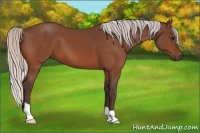 Horse Color:Silver Brown