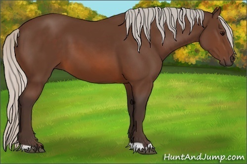 Horse Color:Silver Brown