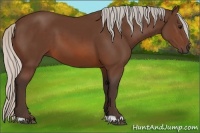 Horse Color:Silver Brown 